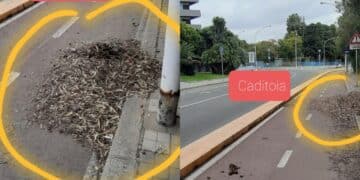 Cagliari, caditoie sommerse da foglie e detriti: preoccupazione tra via dei Tritoni e via del Sole