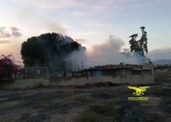 Quartu, due anziani disabili salvati da un incendio dagli uomini della Forestale