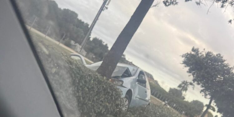 Cagliari, schianto in viale Poetto: auto esce di strada e finisce contro un albero