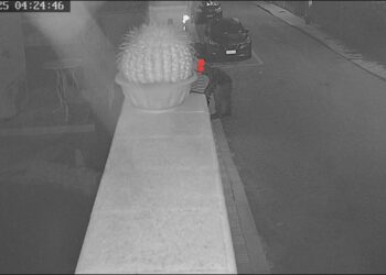 Pirri, ladro di fiori immortalato dal sistema di videosorveglianza: “Gesto da vigliacchi”