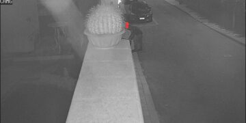 Pirri, ladro di fiori immortalato dal sistema di videosorveglianza: “Gesto da vigliacchi”