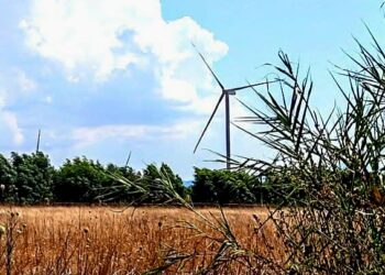Medio Campidano: tra grano, pomodori e pascoli una distesa di pannelli fotovoltaici e pale eoliche