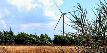 Medio Campidano: tra grano, pomodori e pascoli una distesa di pannelli fotovoltaici e pale eoliche