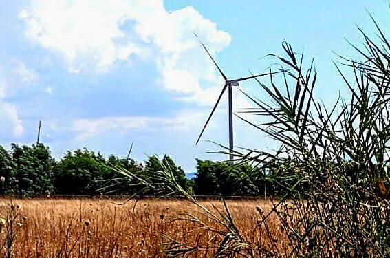 Medio Campidano: tra grano, pomodori e pascoli una distesa di pannelli fotovoltaici e pale eoliche