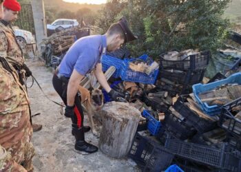 Detenzione illecita di arma da fuoco e reperti archeologici, pensionato nei guai a Portoscuso