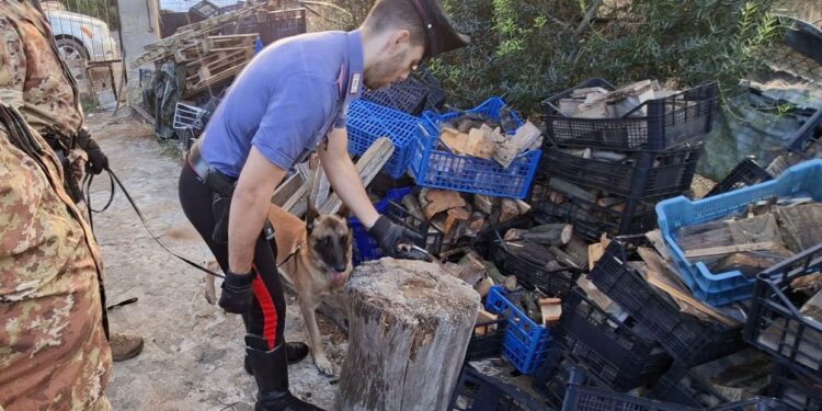 Detenzione illecita di arma da fuoco e reperti archeologici, pensionato nei guai a Portoscuso