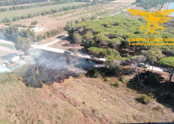 Arrestato un piromane seriale responsabile di 5 incendi nella pineta litoranea di Terralba e Arborea