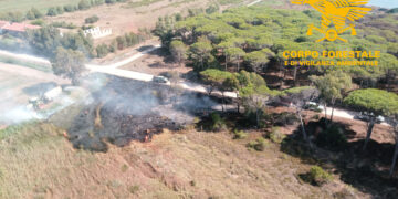 Arrestato un piromane seriale responsabile di 5 incendi nella pineta litoranea di Terralba e Arborea