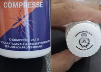 Collinas, il Comune consegnerà delle compresse per uccidere le larve di zanzara: “Prevenire è meglio che curare”