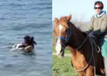 Gonnesa, la storia di Emanuela Fois: pastora per scelta frequenta il corso della Scuola Sarda di Pastorizia