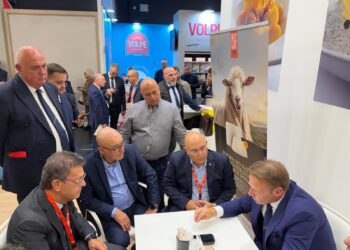 Pecorino Romano, il ministro Lollobrigida in prima linea per trovare soluzioni anti dazi di Trump