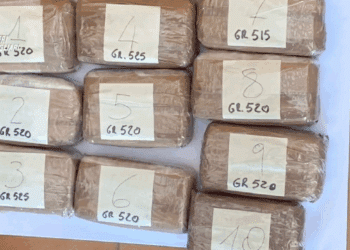 Cagliari, maxi blitz dei carabinieri contro il narcotraffico internazionale: 71 provvedimenti restrittivi -VIDEO