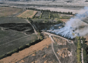 Ozieri, dalle stoppie bruciate divampa un vasto rogo: una denuncia per incendio colposo