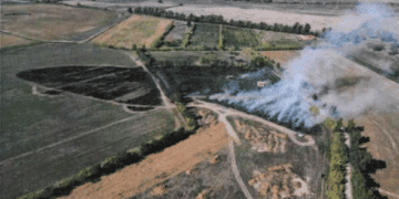 Ozieri, dalle stoppie bruciate divampa un vasto rogo: una denuncia per incendio colposo