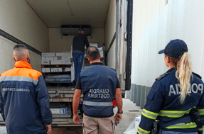 Olbia, sequestrati quasi 400 kg di prodotti ittici privi di tracciabilità e pronti per la vendita