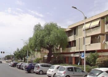 Quartucciu: ladri di fiori in azione, da via Mogoro è stato portato via un carrettino con le piante