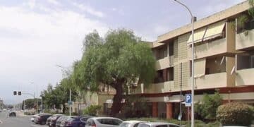 Quartucciu: ladri di fiori in azione, da via Mogoro è stato portato via un carrettino con le piante