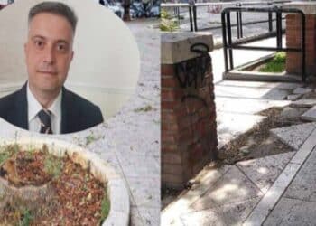 Cagliari, a dicembre il bando per il nuovo Terrapieno: al via la riqualificazione di viale Regina Elena