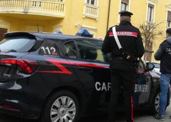 Violata la sicurezza sul lavoro, denunciato imprenditore agricolo a Serramanna