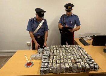 Antimafia di Cagliari, nuovo blitz con l’operazione Termine: oltre 50 chili di hashish in un bidone sotto una quercia