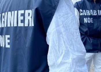 Cagliari, discarica abusiva con rifiuti pericolosi: due denunciati