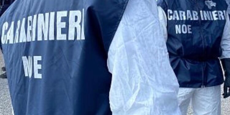 Cagliari, discarica abusiva con rifiuti pericolosi: due denunciati