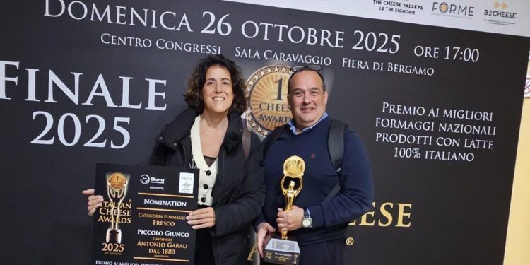 Il piccolo Giunco Garau di Mandas miglior formaggio fresco d’Italia: trionfo Sardegna all’Italian Cheese Awards