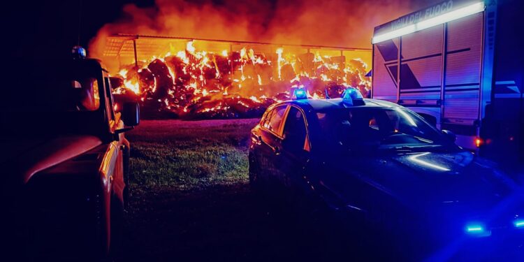 Sestu, inferno di fuoco nella notte: distrutto il deposito di fieno di un cagliaritano