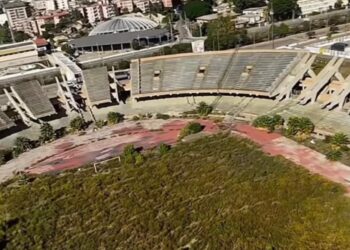 Cagliari, giungla Sant’Elia: il vecchio stadio mai demolito è una foresta urbana abbandonata al degrado