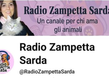 Radio Zampetta Sarda, nasce il canale Youtube