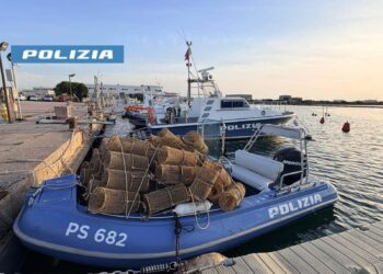 Pesca abusiva di polpi, la polizia sequestra 70 nasse armate con esca ad Arborea