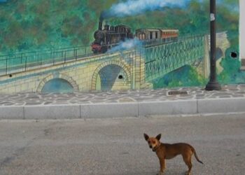 Il Trenino Verde deraglia lungo la tratta Bosa-Macomer: nessun ferito