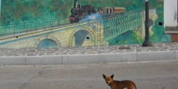 Il Trenino Verde deraglia lungo la tratta Bosa-Macomer: nessun ferito