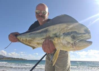 Una lampuga di 5 chili pescata nel golfo cagliaritano