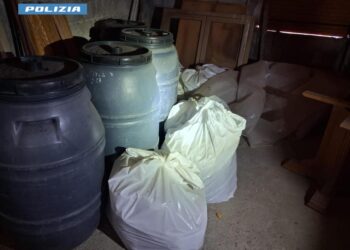 Banda dei portavalori, 6 arrestati nel Nuorese: progettavano altri assalti – VIDEO