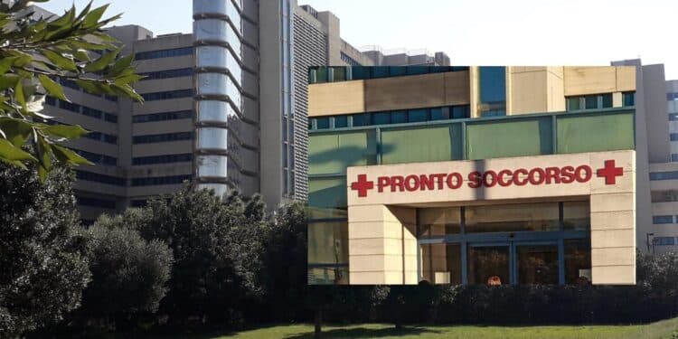 Cagliari, grosso topo cade dal controsoffitto della sala d’attesa del pronto soccorso del Brotzu