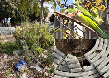 Cagliari, la nuova via Roma presa di mira dai vandali: la passeggiata tra i portici e il porto deturpata dagli incivili