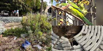 Cagliari, la nuova via Roma presa di mira dai vandali: la passeggiata tra i portici e il porto deturpata dagli incivili