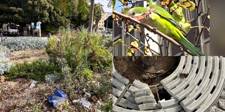 Cagliari, la nuova via Roma presa di mira dai vandali: la passeggiata tra i portici e il porto deturpata dagli incivili