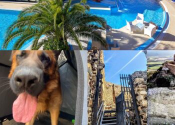 Sardara, boom di consensi dopo l’attenzione rivolta agli amici a 4 zampe