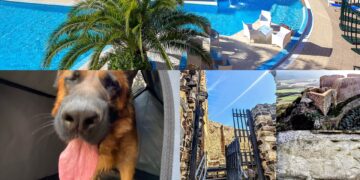 Sardara, boom di consensi dopo l’attenzione rivolta agli amici a 4 zampe