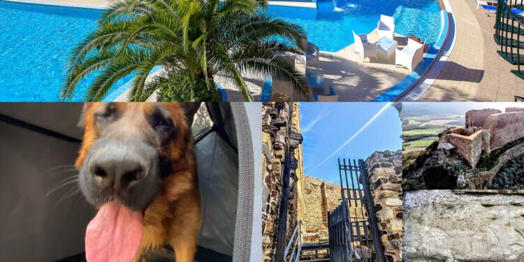 Sardara, boom di consensi dopo l’attenzione rivolta agli amici a 4 zampe