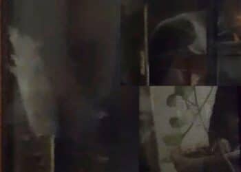 Cagliari, in via Francesco Fara grossi topi a caccia di cibo e nuove tane: cittadini in rivolta