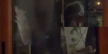 Cagliari, in via Francesco Fara grossi topi a caccia di cibo e nuove tane: cittadini in rivolta