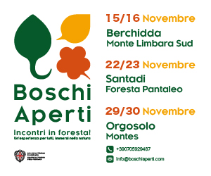 Santadi ti aspetta: un weekend tra foreste incantate e meraviglia pura
