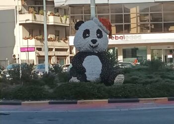 Natale è alle porte, a Quartu cresce l’attesa per conoscere il destino del panda