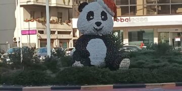 Natale è alle porte, a Quartu cresce l’attesa per conoscere il destino del panda