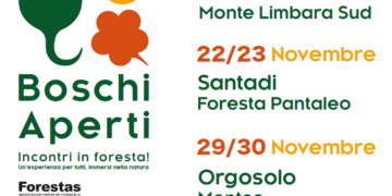 Boschi Aperti 2025 – Orgosolo, 29 e 30 novembre
