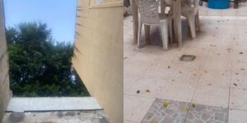 Cagliari, alberi a ridosso delle case senza potatura: “Cadono foglie e pezzi di tronchi in cortile, siamo stanchi di segnalare”