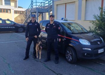 A scuola di legalità con l’aiuto dei cani: i carabinieri incontrano gli alunni a Sardara e San Gavino Monreale